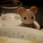 Canelés de Bordeaux • 1 mice