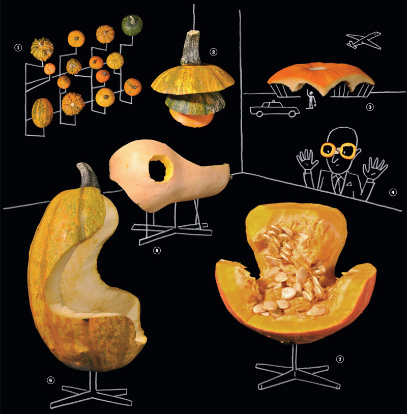 squash